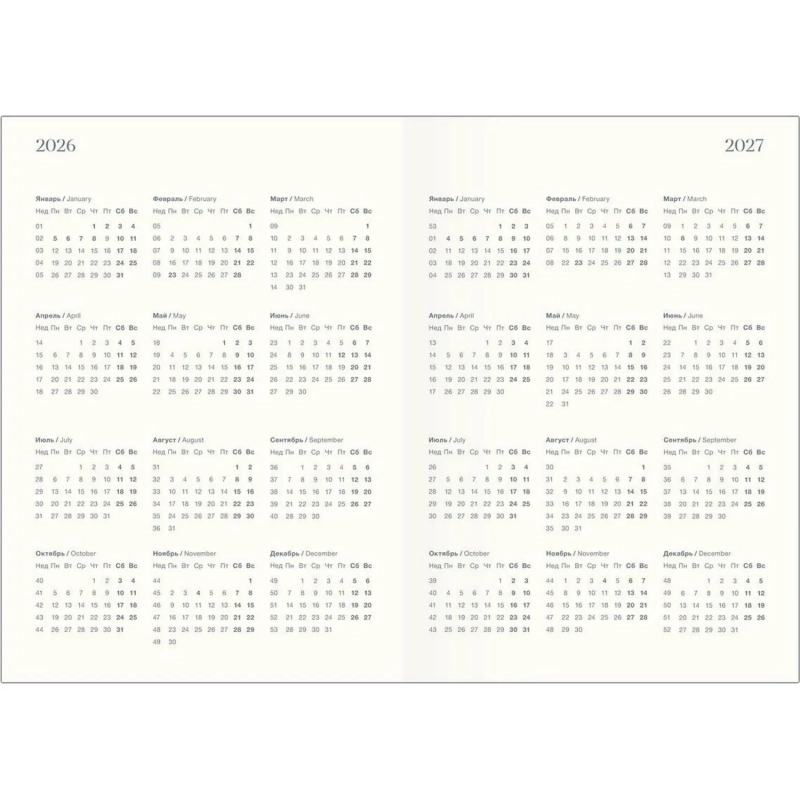 Ежедневник датированный 2026 IF 14х20см 176л, мягкий, Nightfall I1736/train