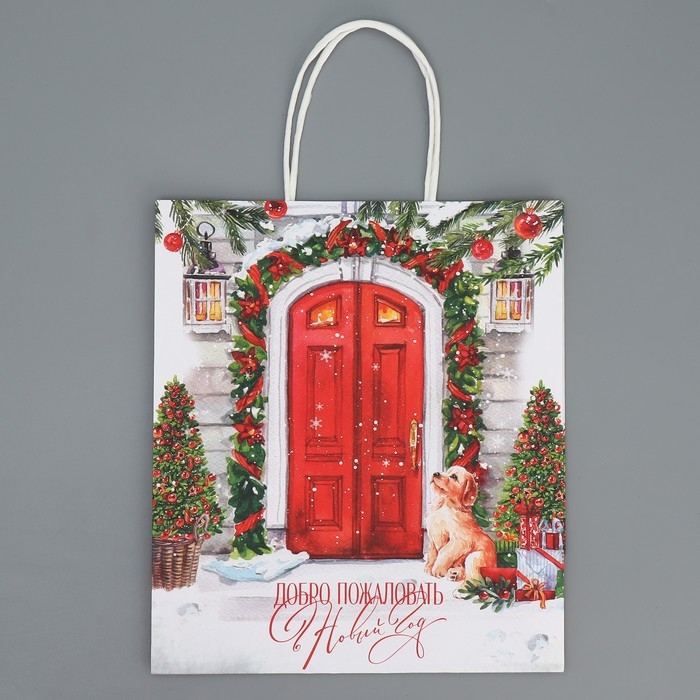 Пакет подарочный новогодний крафтовый «Добро пожаловать», 22 х 25 х 12 см, Новый год