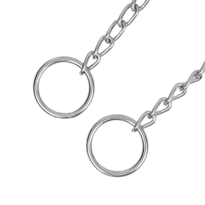 Ошейник - удавка с табличкой под гравировку, 32,5 см, толщина проволоки 1,6 мм Ошейник - удавка с табличкой под гравировку, 32,5 см, толщина проволоки 1,6 мм