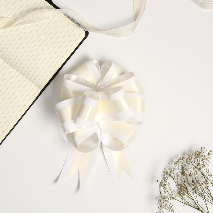 Бант-шар №5 Бант-шар №5