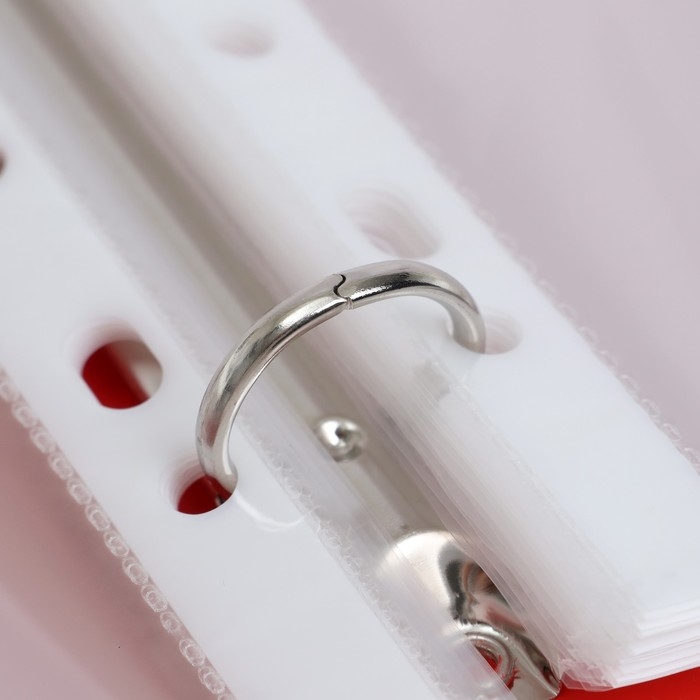 Папка-портфолио А4, Calligrata  Папка-портфолио А4, Calligrata "Веселая школа", пластиковая, на 4 кольцах, для школьника, 20 файлов