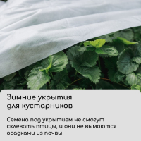 Материал укрывной, 10 × 3.2 м, плотность 60 г/м², спанбонд с УФ-стабилизатором, белый, Greengo, Эконом 30%