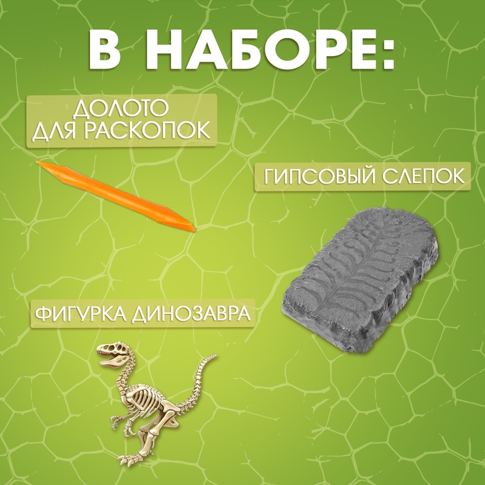 Набор для раскопок «Раскопай динозавра» Набор для раскопок «Раскопай динозавра»