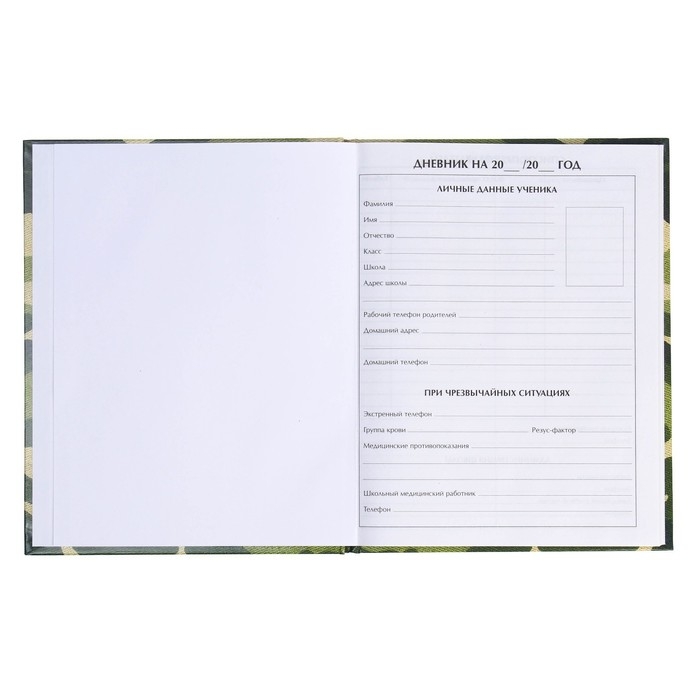Дневник универсальный для 1-11 классов, Дневник универсальный для 1-11 классов, "Хаки", твердая обложка 7БЦ, глянцевая ламинация, 40 листов