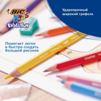 Карандаши 12 цветов, детские, утолщенные, трёхгранные, BIC Kids Evolution Triangle, пластиковые, премиум, картонная упаковка