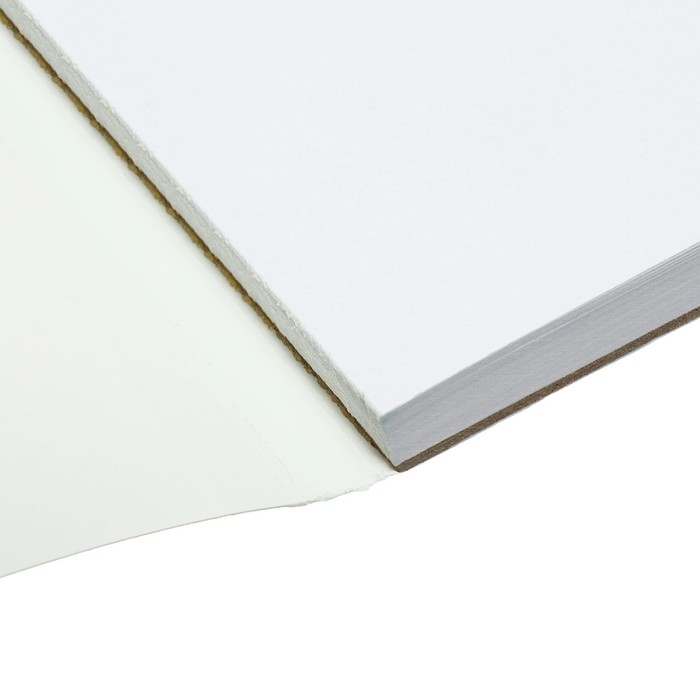 Альбом для рисования А4, 60 листов на склейке Альбом для рисования А4, 60 листов на склейке "Венеция", обложка мелованный картон, твёрдая подложка, блок офсет 100г/м2