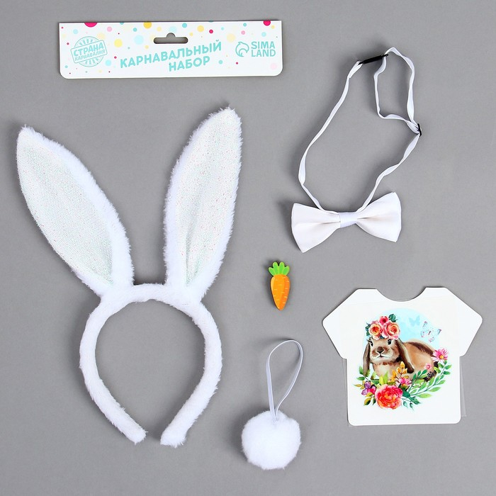 Карнавальный костюм «Милашка» термонаклейка, ободок, бабочка, брошка, хвостик, МИКС