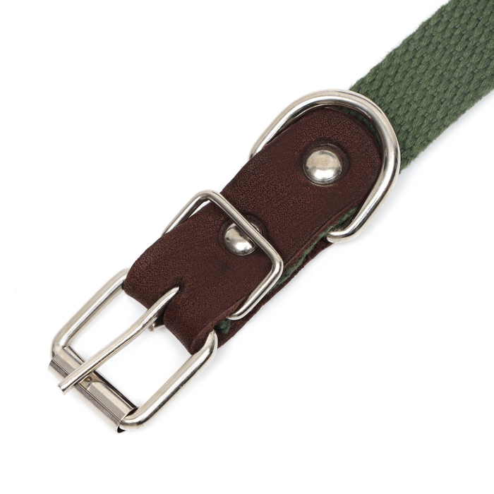 Ошейник брезентовый однослойный, 52 х 2 см, ОШ 25-45 см, тёмно-зелёный Ошейник брезентовый однослойный, 52 х 2 см, ОШ 25-45 см, тёмно-зелёный