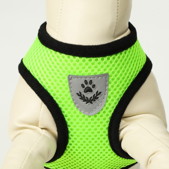 Комплект амуниции с мягкой шлейкой и светоотражающей нашивкой, L, ОШ 33 см, ОГ 36-48, зелёный Комплект амуниции с мягкой шлейкой и светоотражающей нашивкой, L, ОШ 33 см, ОГ 36-48, зелёный