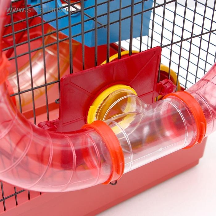 Клетка для грызунов Клетка для грызунов "Хома 4", 55 x 37 x 42 см, микс цветов