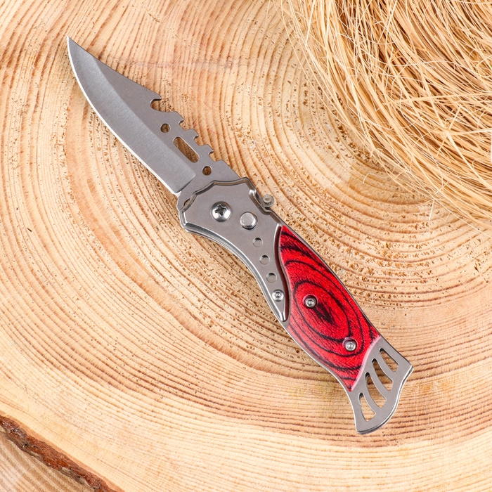 Нож складной Нож складной "Пескарь" 16,3см, клинок 70мм/1мм