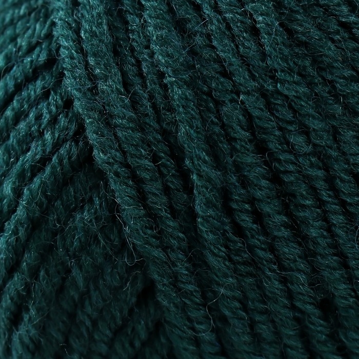 Пряжа Пряжа "Lanagold" 51% акрил, 49% шерсть 240м/100гр (426 т. зелёный)