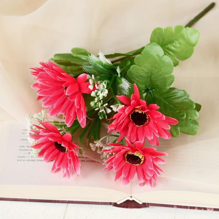 Букет Букет "Доротеантус" 28 см, микс