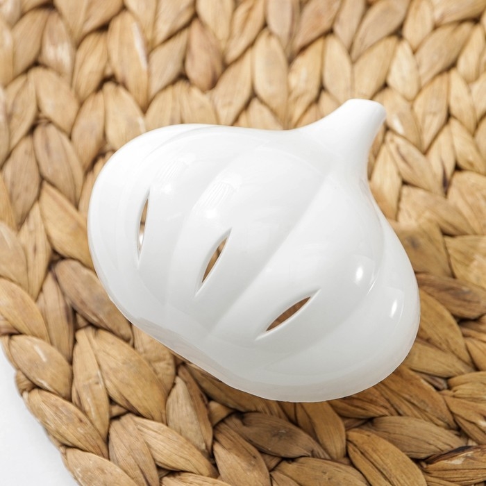 Контейнер для хранения чеснока, 9×8,3×6,2 см, пластик, белый