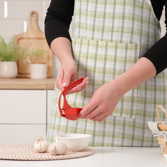 Пресс для чеснока Доляна «Краски», 16 см, цвет МИКС Пресс для чеснока Доляна «Краски», 16 см, цвет МИКС