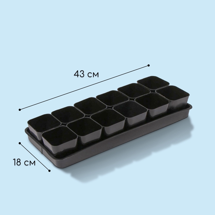 Набор для рассады: стаканы по 300 мл (12 шт.), поддон 43 × 18 см, МИКС, Greengo Набор для рассады: стаканы по 300 мл (12 шт.), поддон 43 × 18 см, МИКС, Greengo