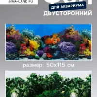 Фон для аквариума двухсторонний, 50&times;115 см
