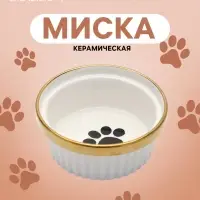 Миска &laquo;Роскошь&raquo;, 250 мл, 12&times;5.5 см, керамика, белая