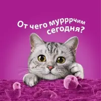 Влажный корм Whiskas для кошек, желе кролик, 75г Влажный корм Whiskas для кошек, желе кролик, 75г