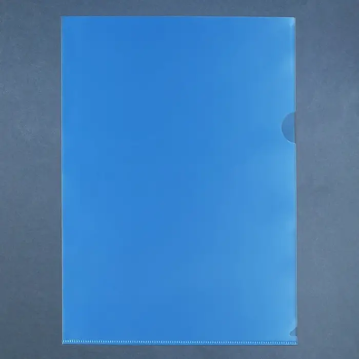 Набор папок-уголков А4, 100 мкм, Calligrata Выгодные, прозрачные, 5 штук, микс