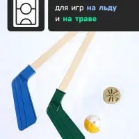 Набор для игры в хоккей (клюшка 2 шт., ворота, шайба, мяч), МИКС