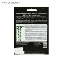 Семена огурца "Верность", F1, 7 шт.