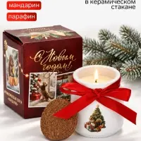 Ароматическая свеча в матовом стакане &laquo;Новогоднего уюта и тепла&raquo;, аромат мандарин