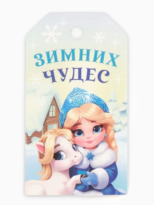 Шильдик декоративный в наборе «С Новым годом!», 9 х 5 см