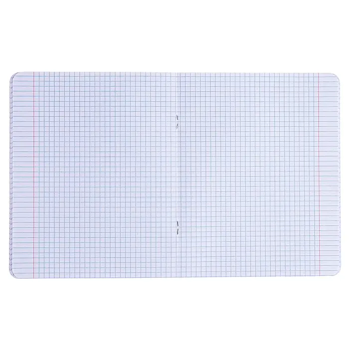 Тетрадь 48 листов в клетку &laquo;Яркие черепа&raquo;, обложка мелованный картон, УФ-лак, МИКС