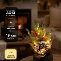 Фигура светодиодная &laquo;Зимняя рябина&raquo; 19&times;13&times;13 см, 10 LED, от батареек AG13&times;3 (в комплекте), свечение тёплое белое