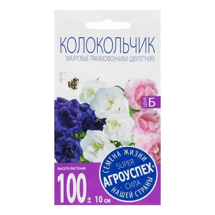 Семена цветов Колокольчик Махровые граммофончики, смесь, однолетник, 0,2 гр Семена цветов Колокольчик Махровые граммофончики, смесь, однолетник, 0,2 гр