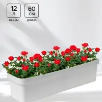 Ящик балконный для цветов &laquo;Эко&raquo;, 12 л, 60&times;17&times;15.5 см, пластиковый, цвет светлый гранит