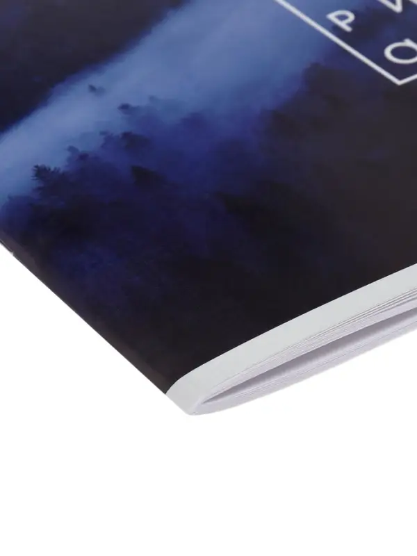 Набор альбомов для рисования Calligrata &laquo;Лес&raquo;, 2 штук, А4, 40 листов, на скрепке