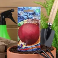 Набор семян Свекла "Фурор" округлая, с тёмно-красной мякотью, 5 шт.