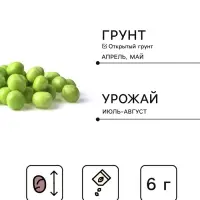 Семена Горох &laquo;Рафинад&raquo;, сахарный, 6 г, &laquo;Удачные семена&raquo;