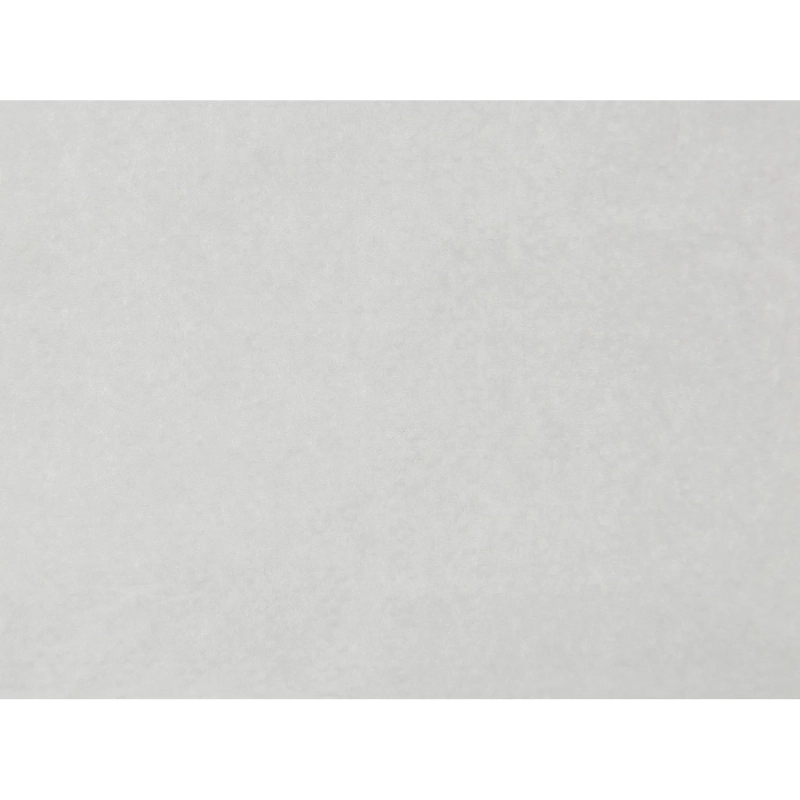 Полотенца бумажные д/держ. SKARA V- сложения, 2 сл., 200 лист/уп._СПБ