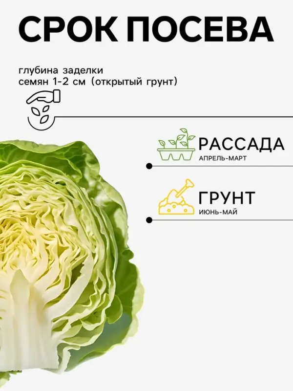 Семена Капуста белокочанная &laquo;Мегатон&raquo;, F1, 10-12 шт., &laquo;Уральский дачник&raquo;