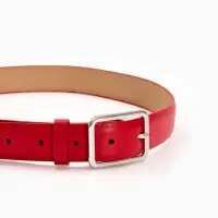 Ремень жен 05-01-02-01, Июнь2505, 3*0,3*110 см, без винта, пряж мат металл, 1 прокол, красн 109031 Ремень жен 05-01-02-01, Июнь2505, 3*0,3*110 см, без винта, пряж мат металл, 1 прокол, красн 109031