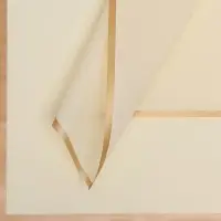 Пленка для цветов "Бронзовая полоса", нежно-желтый, 57 х 57 см Пленка для цветов "Бронзовая полоса", нежно-желтый, 57 х 57 см