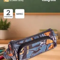 Пенал школьный на молнии &laquo;Баскетбол&raquo;, 2 отделения, МИКС