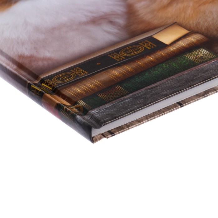 Дневник универсальный для 1-11 классов, "Шпиц", твердая обложка 7БЦ, глянцевая ламинация, 40 листов