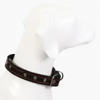Ошейник кожаный &laquo;Строгий шип&raquo;, 65&times;3 см, ОШ 40-55 см, чёрный