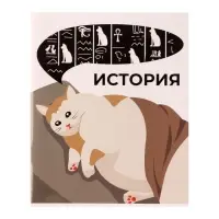 Предметная тетрадь по истории Calligrata &laquo;Животные мемы&raquo;, 36 листов, в клетку, со справочным материалом, обложка из мелованной бумаги