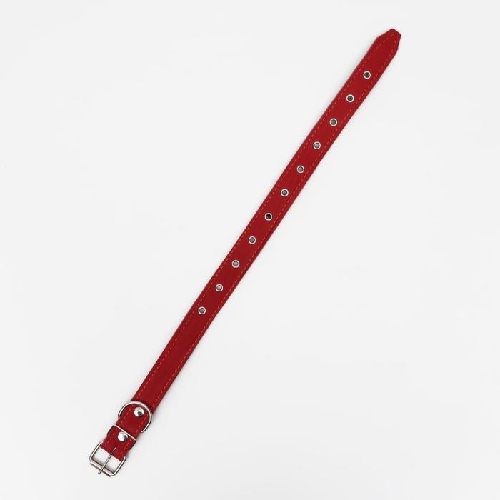 Ошейник кожаный на синтепоне, безразмерный, 65 х 3 см, ОШ 22-55 см, красный Ошейник кожаный на синтепоне, безразмерный, 65 х 3 см, ОШ 22-55 см, красный