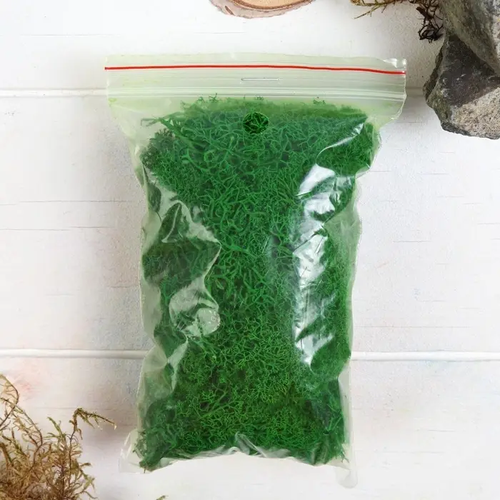 Мох стабилизированный &laquo;Зелёный&raquo; 45 г (&plusmn;5 г).