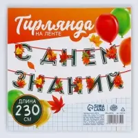 Гирлянда для украшения класса на ленте на 1 Сентября &laquo;С днем знаний&raquo;, 230 см.