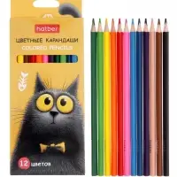 Карандаши 12цв, Hatber, заточ, трехгр, коробка, европодвес 94019