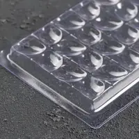 Форма для шоколада «Лепестки», пластик, 20.5×10×1 см, прозрачная