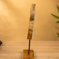 Сувенир "Черепаха" 6х20х30 см, дерево Сувенир "Черепаха" 6х20х30 см, дерево