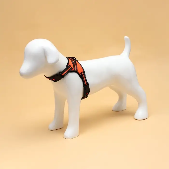 Шлейка улучшенная К7, размер S, ОГ 44-55 см, вес 5-9 кг, мягкая, светоотражающая, оранжевая